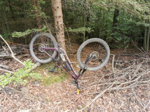 Foto aus „Bike-Road-Trip durch tschechisch-polnische Trailparks“