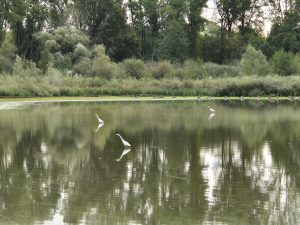 Foto aus „Mittelmeer kann jeder: Von Wien an die Ostsee“