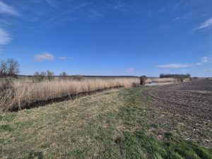 Foto aus „Iron Curtain Trail“