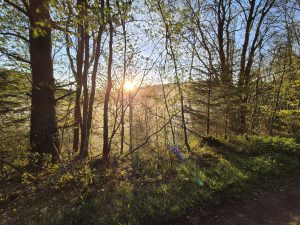 Foto aus „Stoneman Arduenna – Im Land der Schlümpfe und Hobbits“