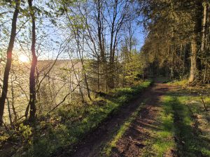 Foto aus „Stoneman Arduenna – Im Land der Schlümpfe und Hobbits“