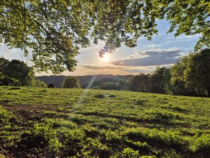 Foto aus „Stoneman Arduenna – Im Land der Schlümpfe und Hobbits“