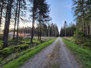 Foto aus „Stoneman Arduenna – Im Land der Schlümpfe und Hobbits“