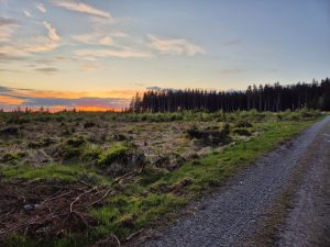 Foto aus „Stoneman Arduenna – Im Land der Schlümpfe und Hobbits“