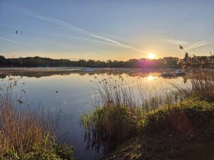 Foto aus „24h Rennen Alfsee“