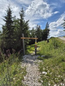 Foto aus „XTERRA und Bergerlebnisse im Salzkammergut“
