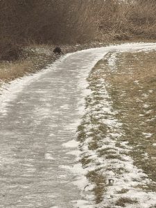 Foto aus „Burgenland EXTREM Bike“